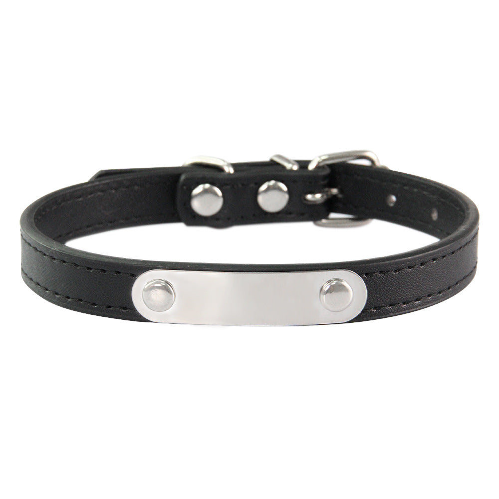 Simple Lettering Dog Collar