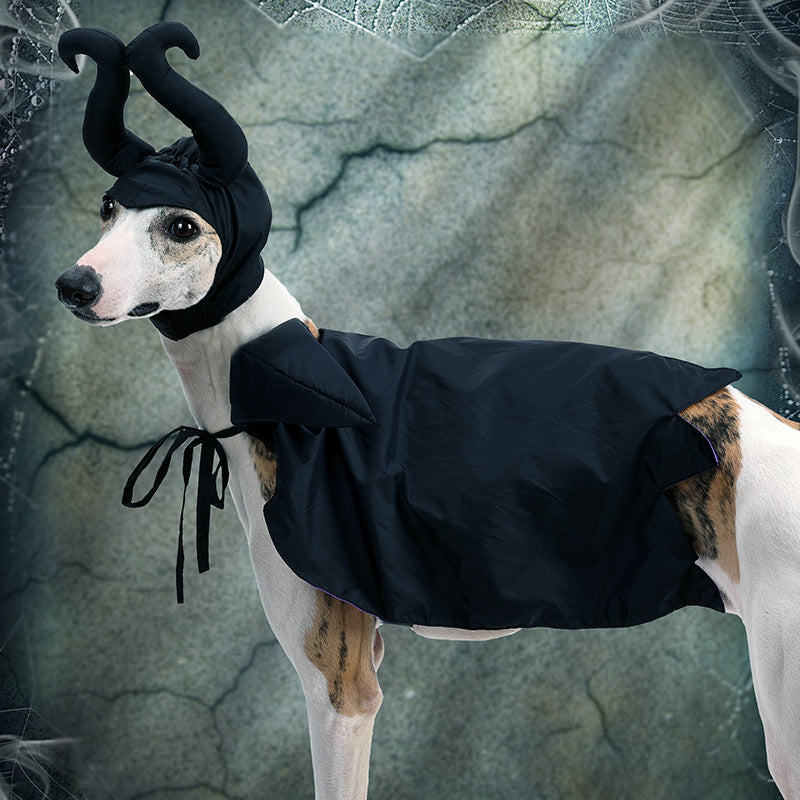 Halloween Dog Cloak and Hat