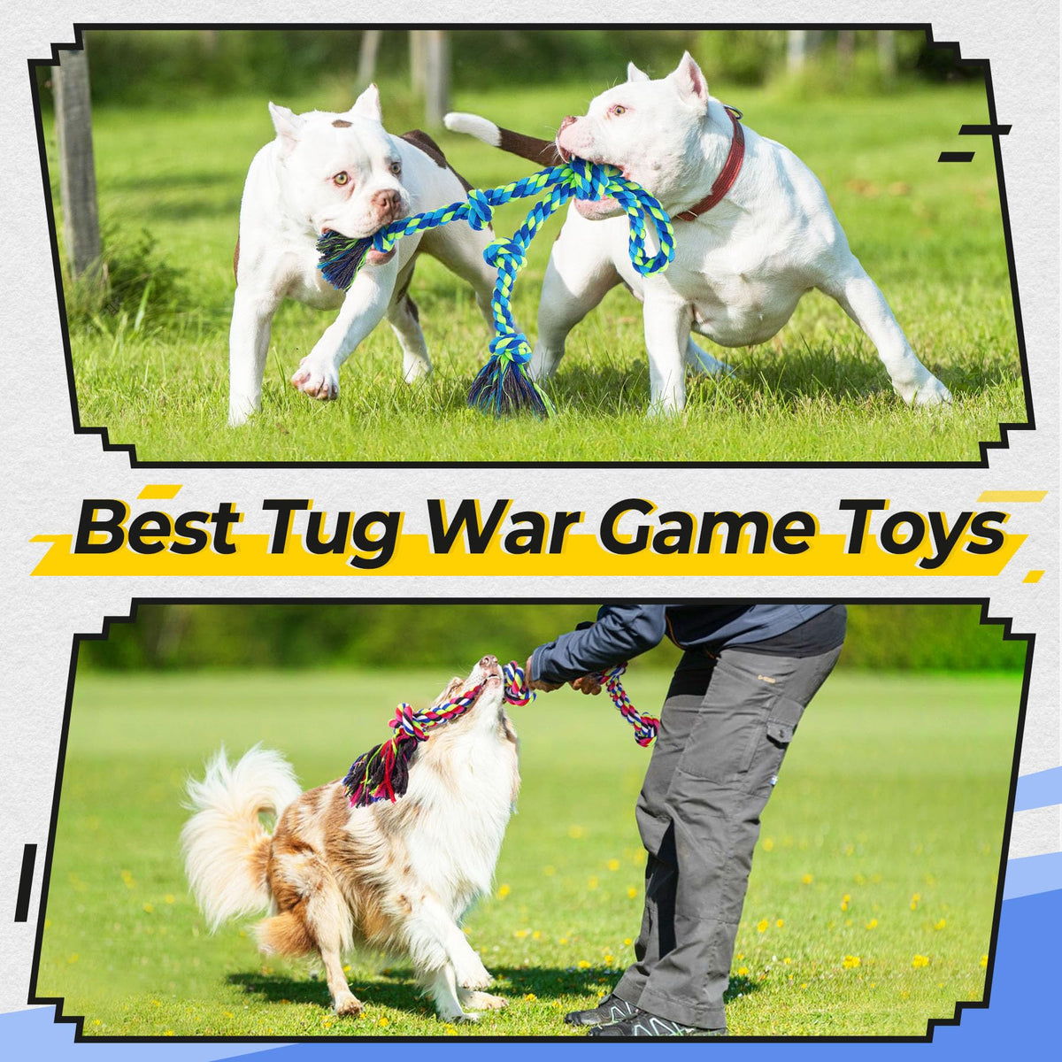 Thick Cotton Rope Dog Toy