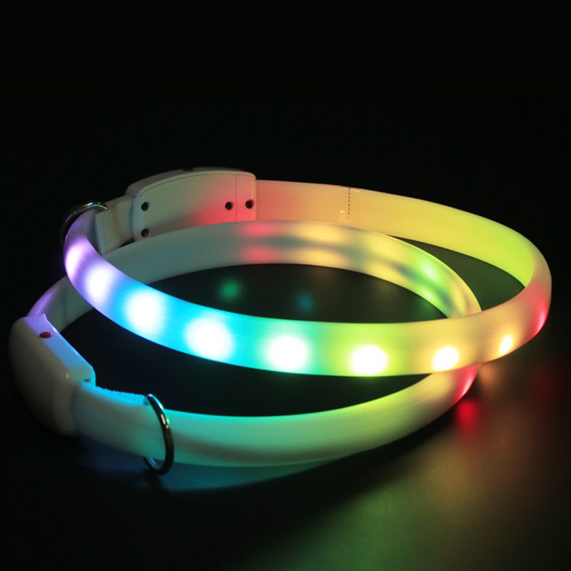 USB Rechargeable LED Dog Collar