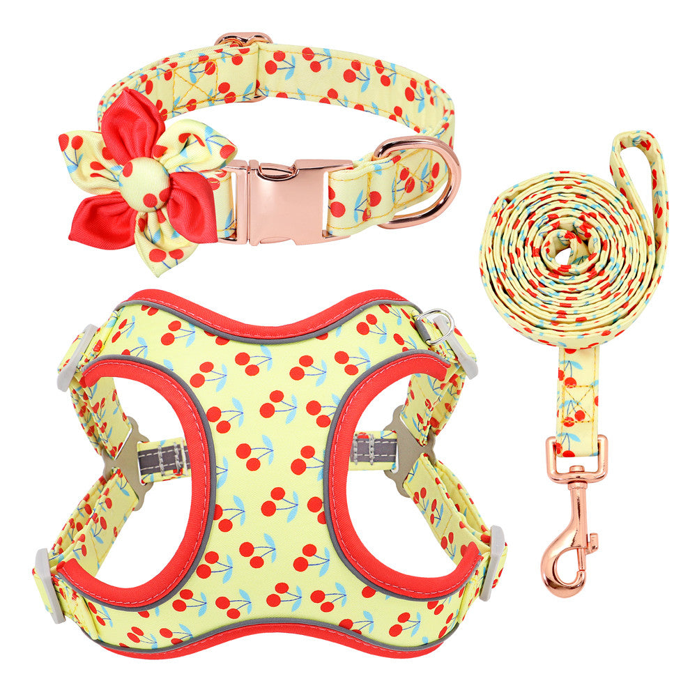 Dog Collar Leash And Strap Set