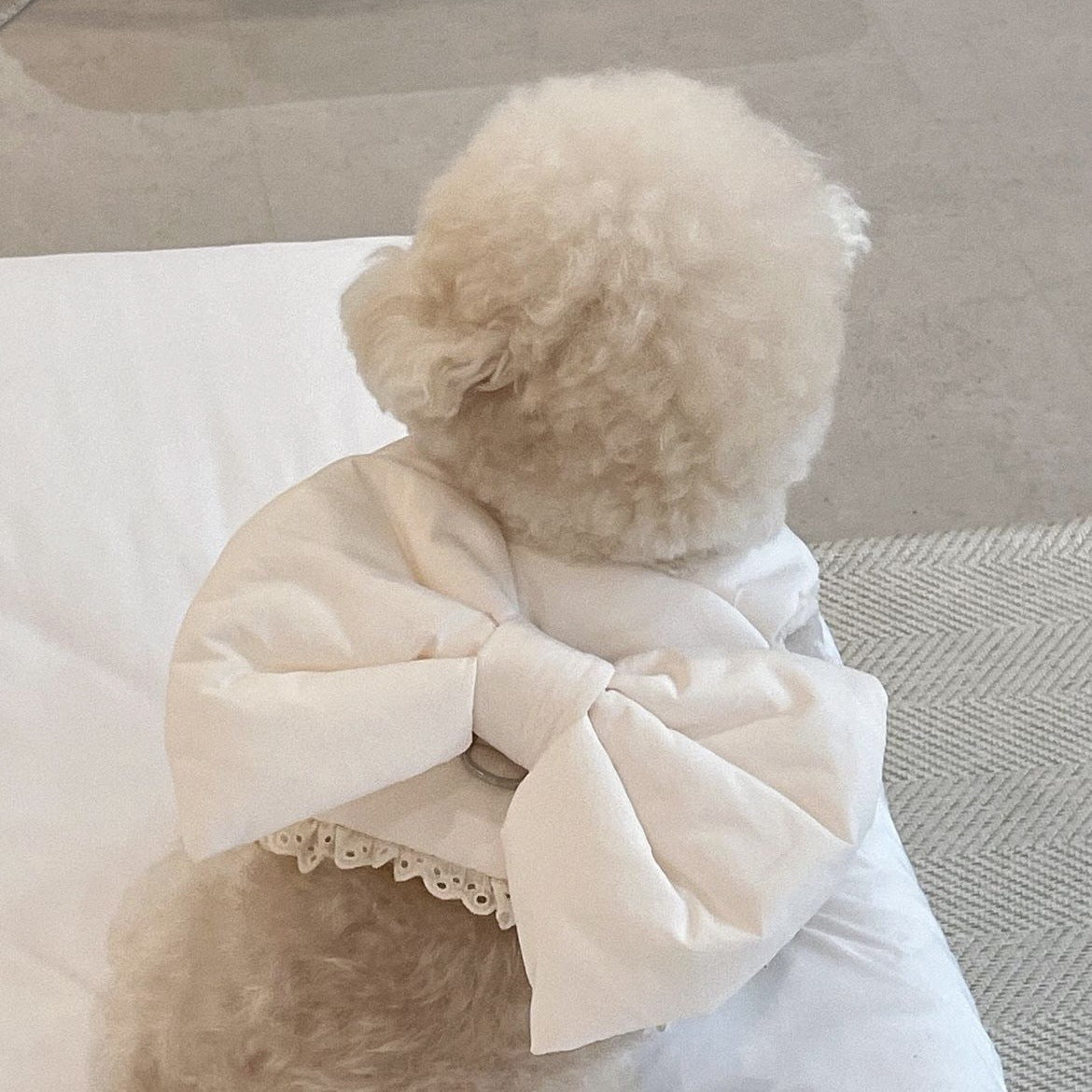Cute Bow Plush Dog Chest Strap Set