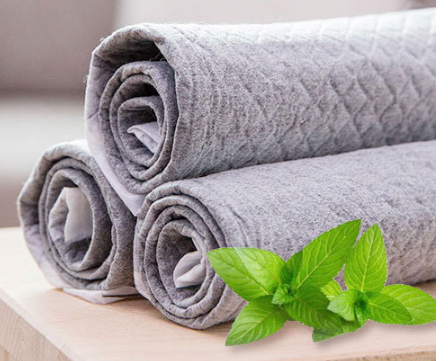 Non-Woven Pet Diapers