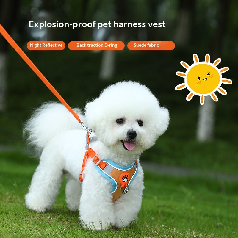 Breathable High-Leg Bichon Frise Harness And Leash