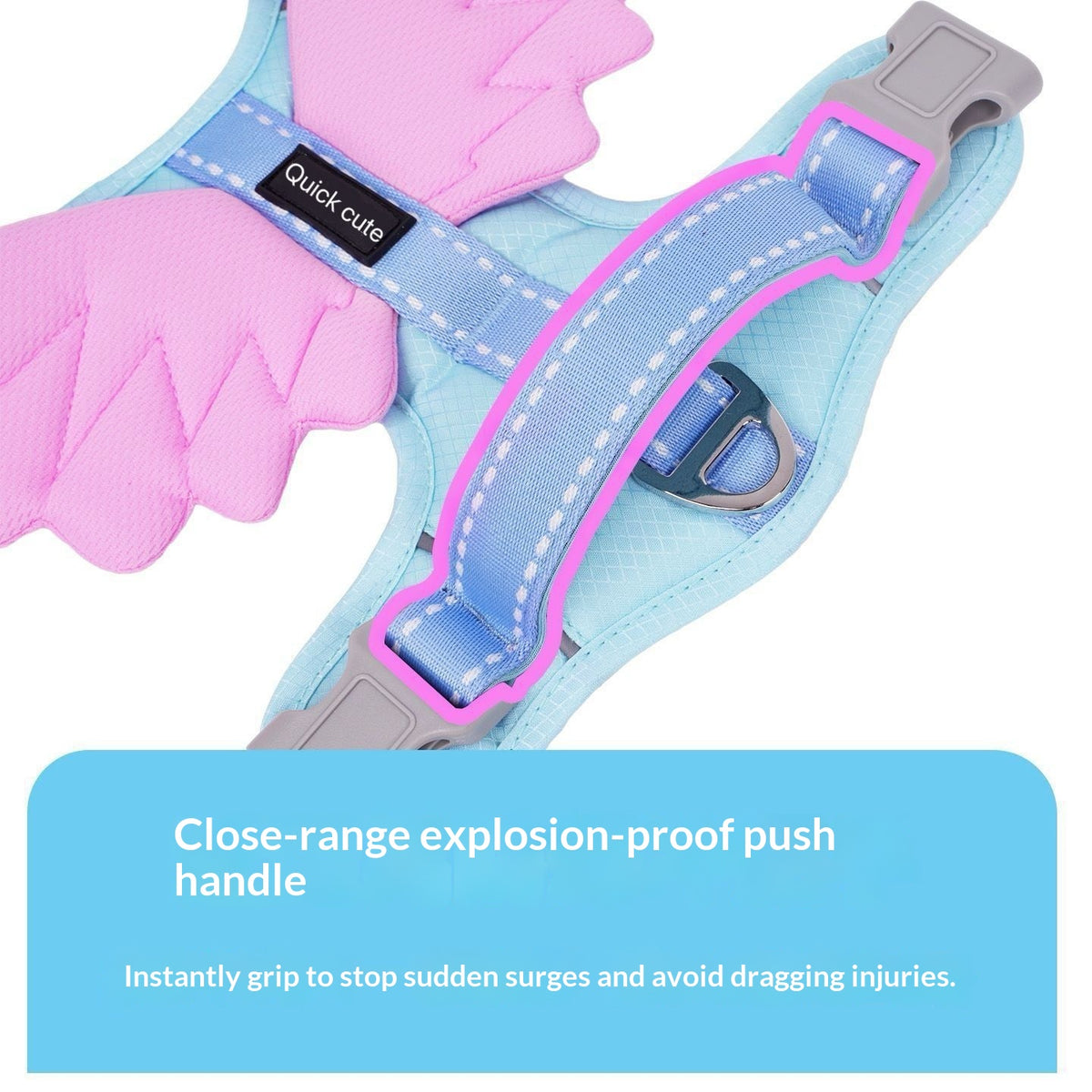 3D Wings Dog Harness With Leash Option