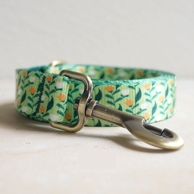 Pet Leash With Nylon-Like Webbing