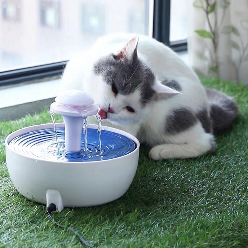 Circulating Pet Water Fountain