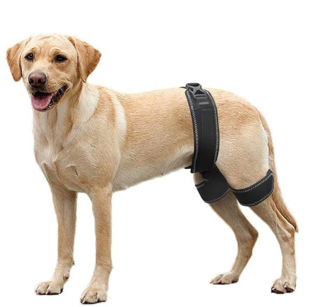 Dog Hip Support Belt
