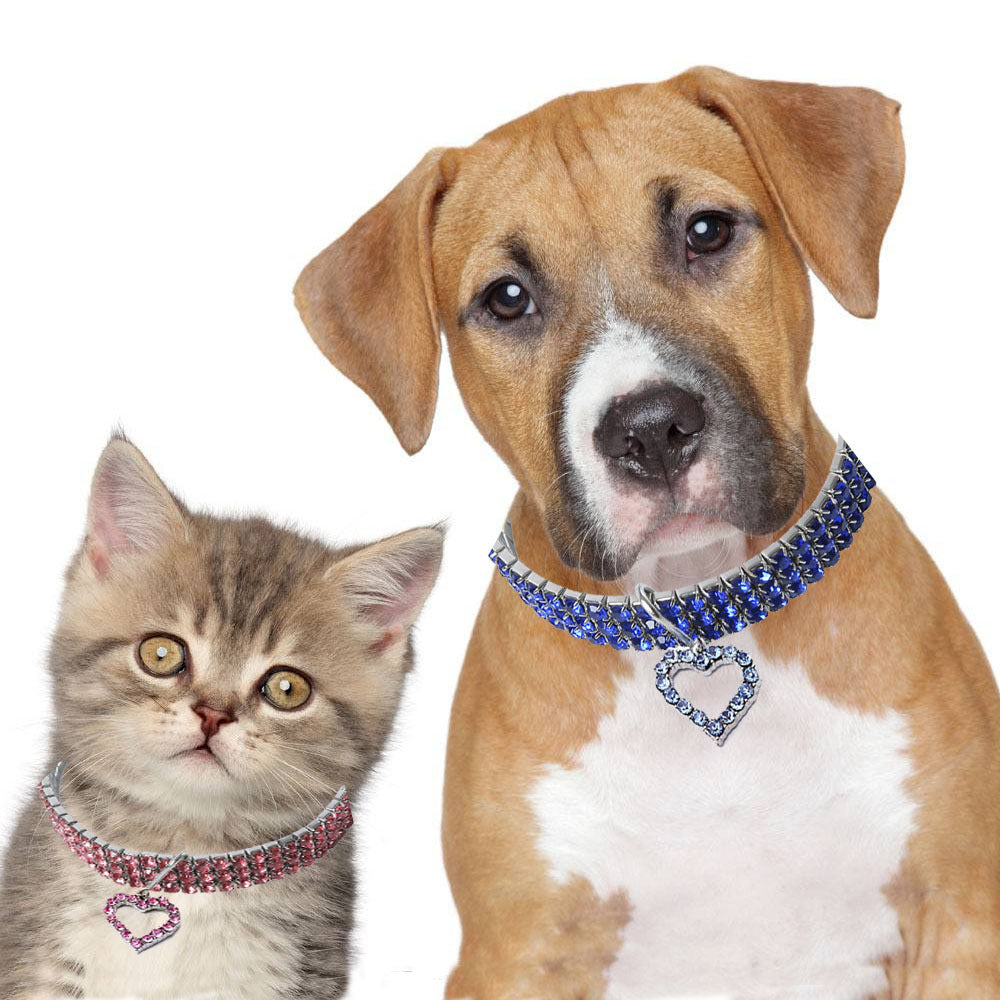 Heart Shaped Pet Necklace
