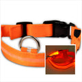 Dog LED Luminous Collar