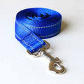 Outdoor Nylon Dog Leash With Reflective Elements