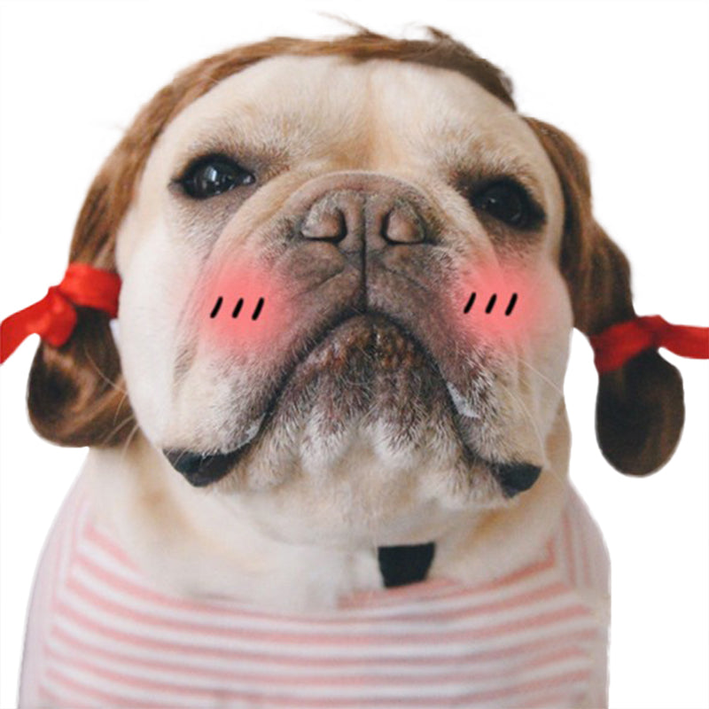 Creative Funny Dog Wig Headgear