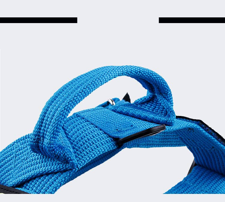 Chain Leash Vest Harness For Dogs