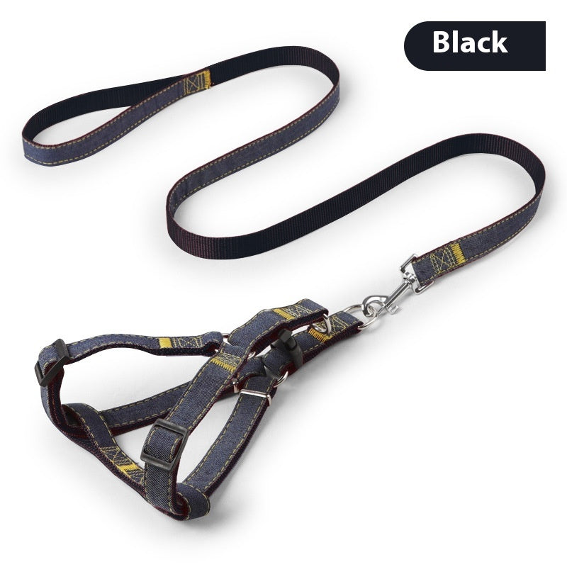 Everyday Dog Leash
