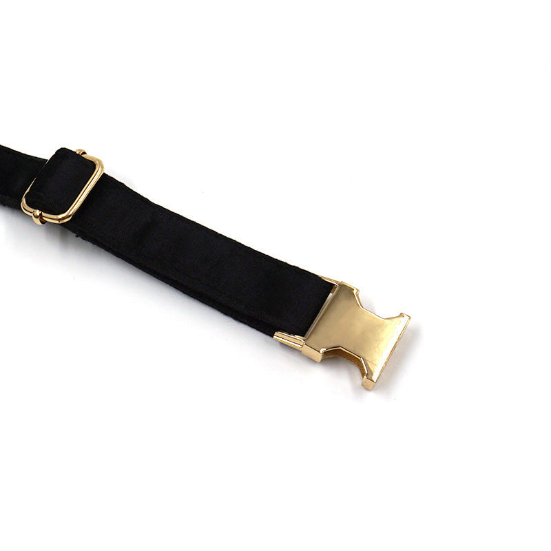 Simple Anti-Lost Dog Collar