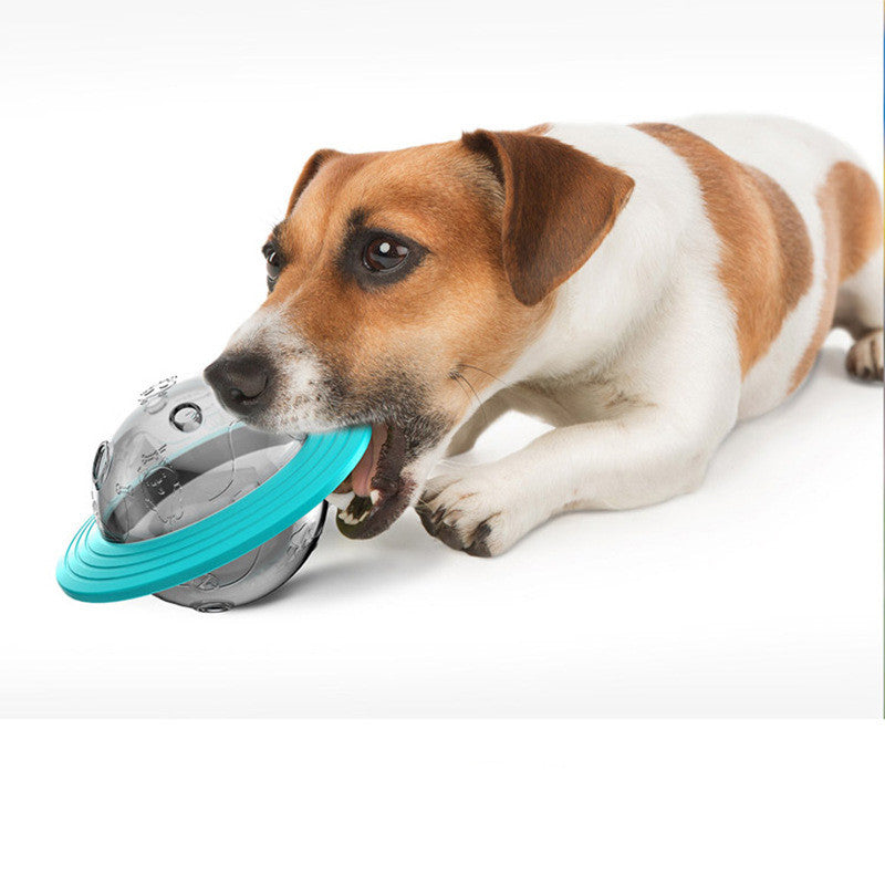Educational Leak-Feeding Pet Toy