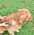 Pet Dematting Comb