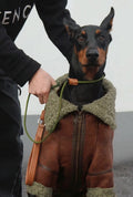 Winter Velvet-Lined Leather Big Dog Coat