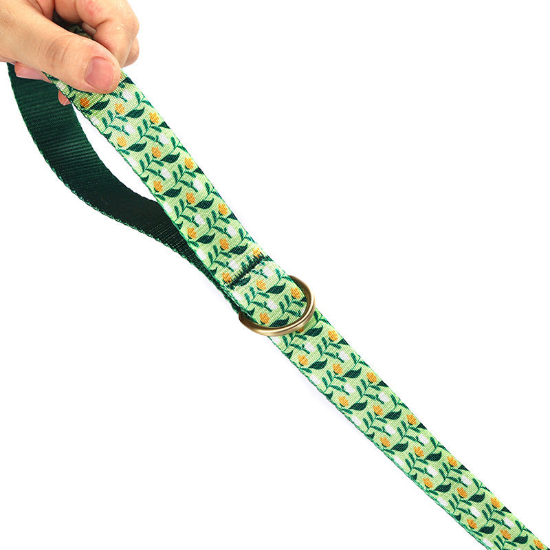 Pet Leash With Nylon-Like Webbing