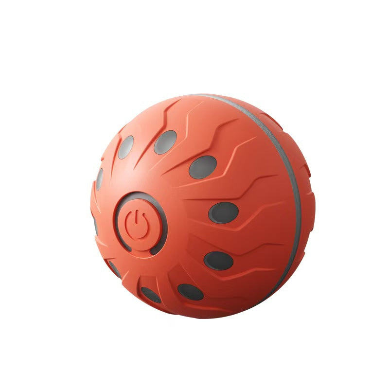 2 Pack Interactive Light-Up Dog Ball Toys