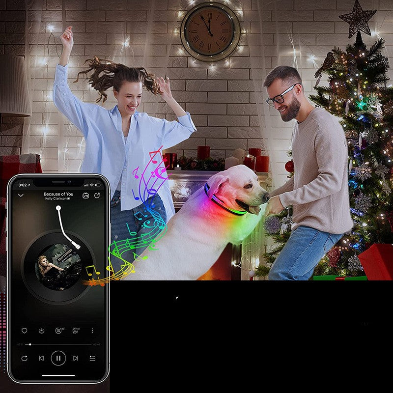 Usb Charging Shiny Dog Collar