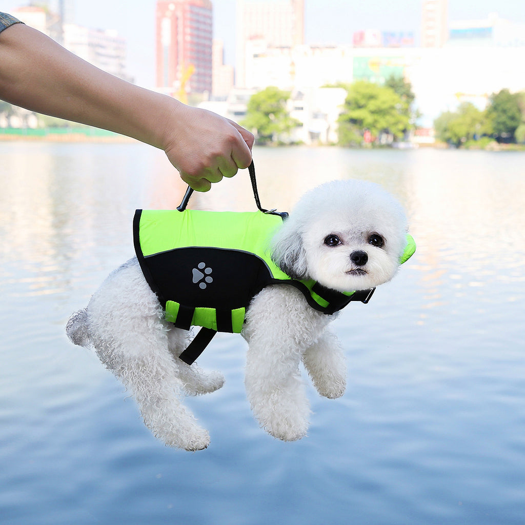Summer Dog Life Jacket for Swimming