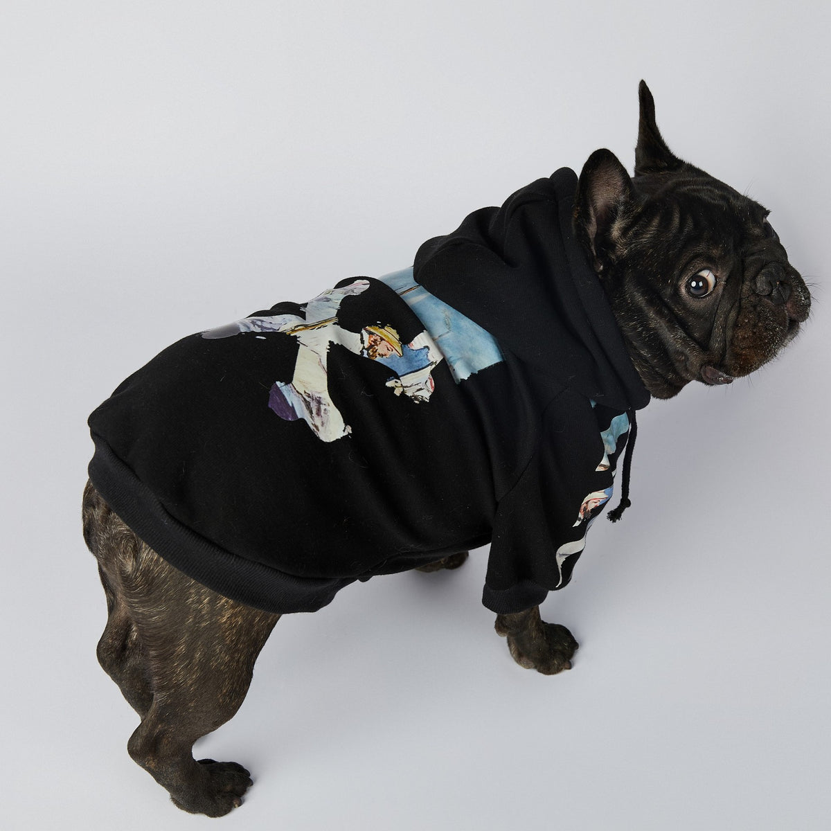 Fashion Schnauzer Dog Clothes
