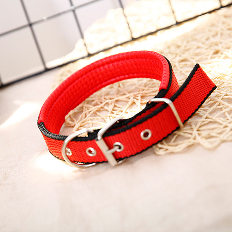 Pp Braid Lined Polypropylene Pet Foam Dog Collar
