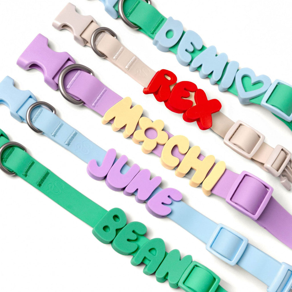 Personalized Name Collar English Letter Traction Rope Letter