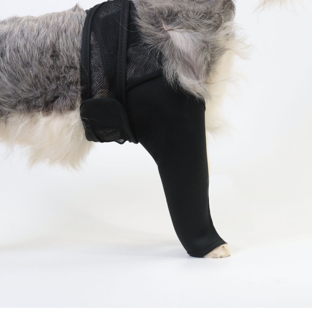 Pet Thigh Protective Sleeve Surgical Recovery Protection Joint Leggings