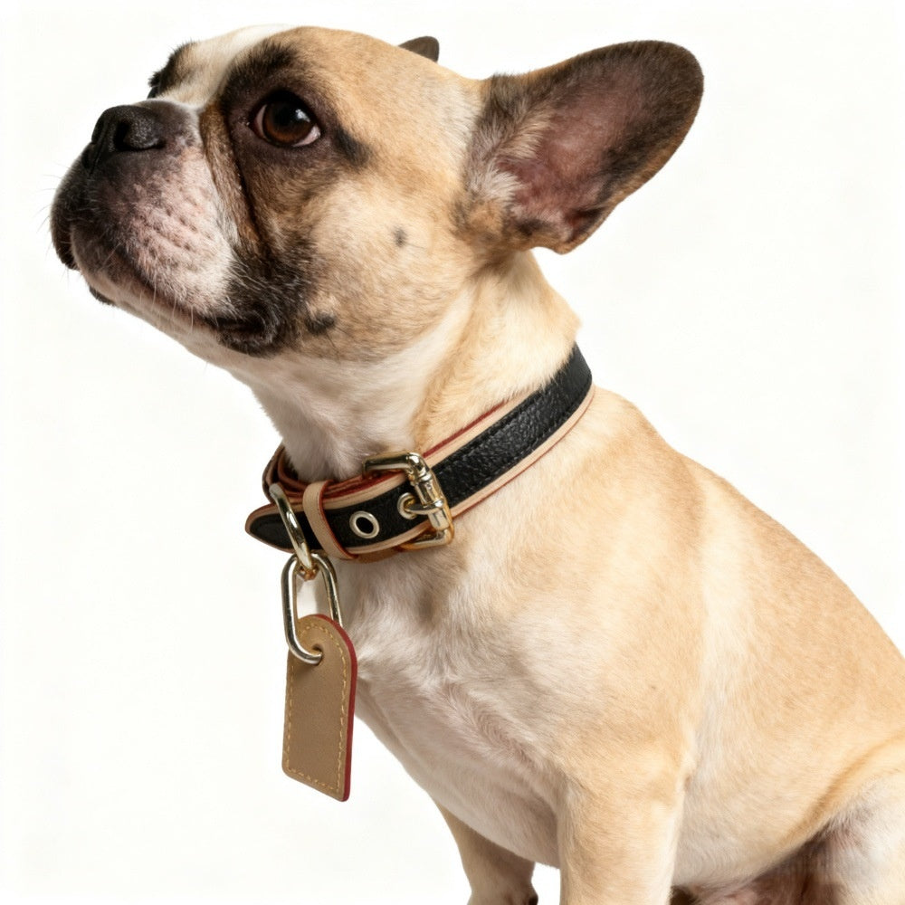 Cute Pet Outfit Japanese And Korean-Style Pet Collars