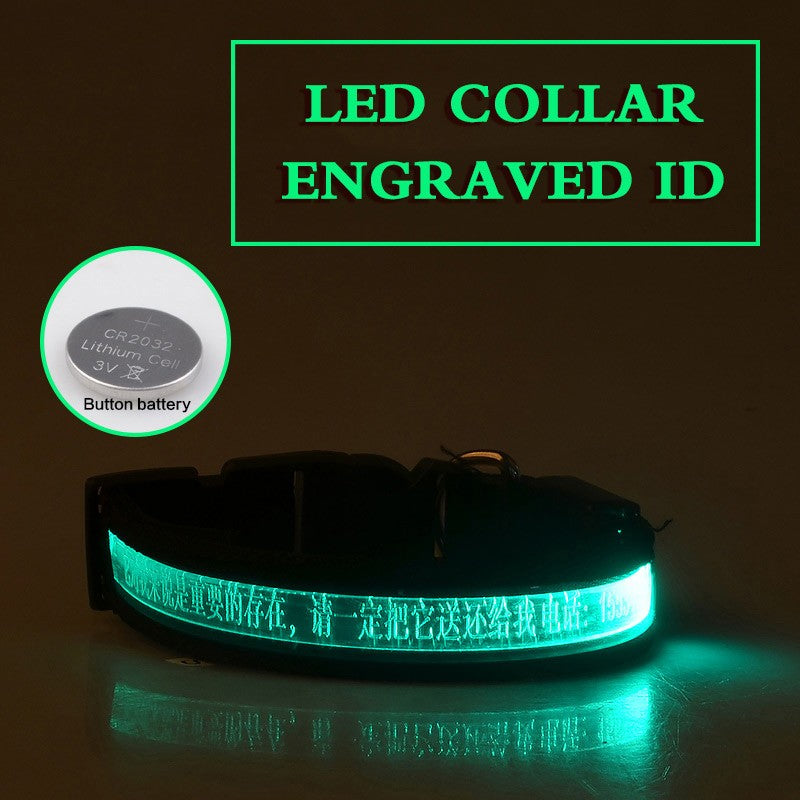 Glow In The Dark Lettering Dog Collar