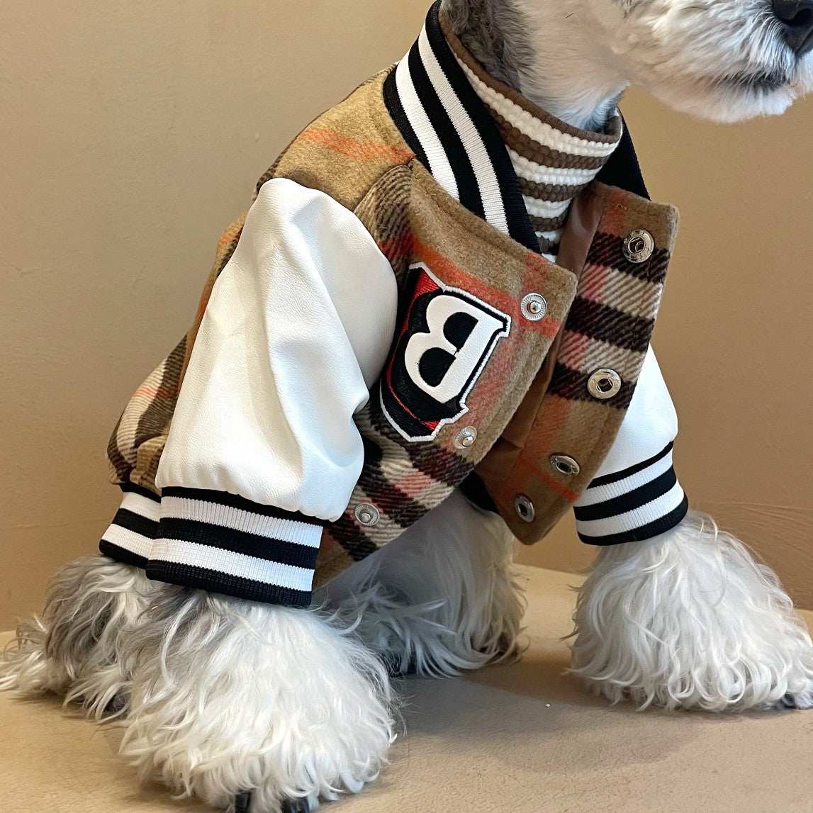 Winter Wool Padded Dog Jacket