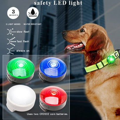 Dog Led Light Anti Stray Glow At Night