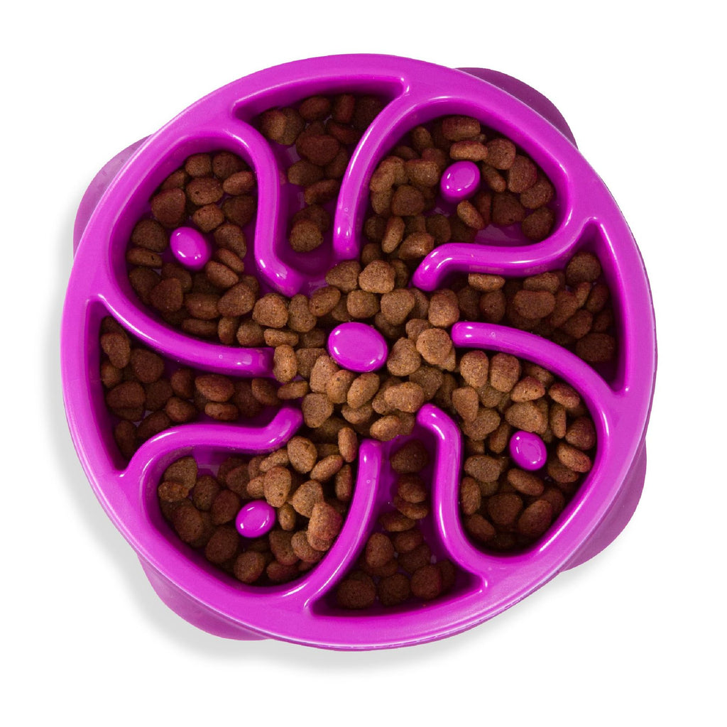 Silicone Puzzle Slow-Feeding Dog Bowl
