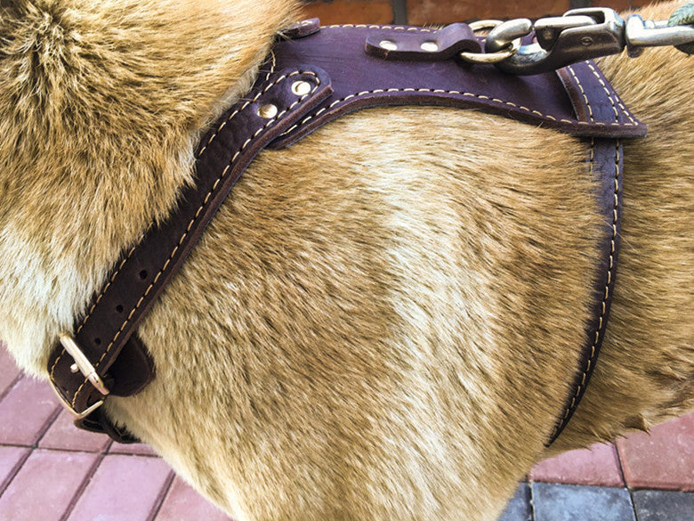 Double Layer Thickened Cowhide Chest And Back
