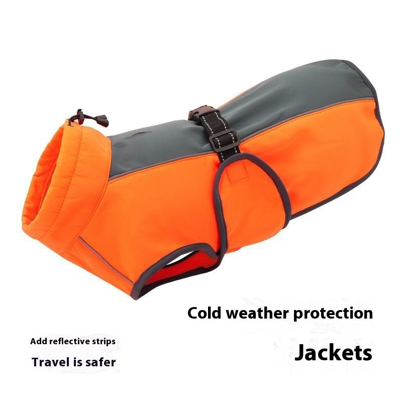 Teddy Dog Winter Vest And Thick Coat
