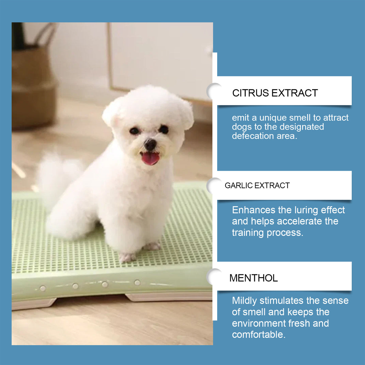 Gentle Non-Irritating Pet Potty-Training Aid