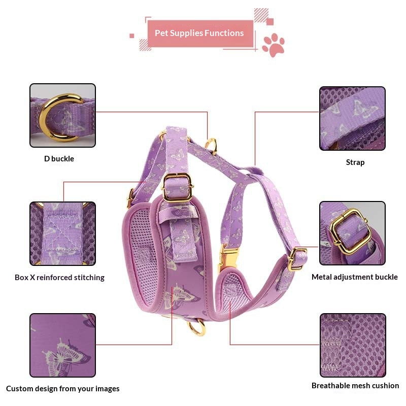 Extra-Large Butterfly Dog Collar Leash Set