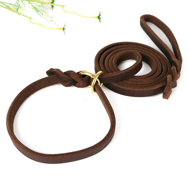 Pet Integrated Leather Hand Holding Rope Training Pet Leash
