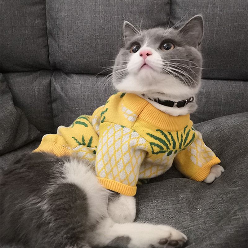 Cute Pineapple Print Christmas Pet Clothes