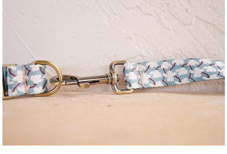Soft And Comfortable Pet Dog Collar Leash Set