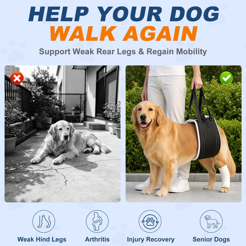 Rear Leg Dog Lift Harness