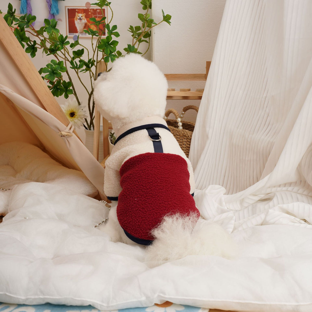 Autumn Winter Berber Fleece Pet Sweatshirt