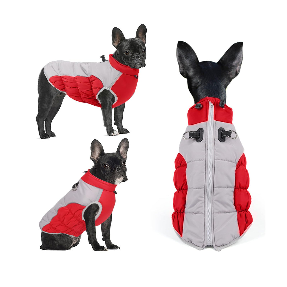Waterproof Windproof Reversible Padded Winter Dog Coat