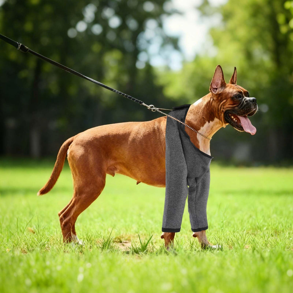 Dog Front Leg Sleeve