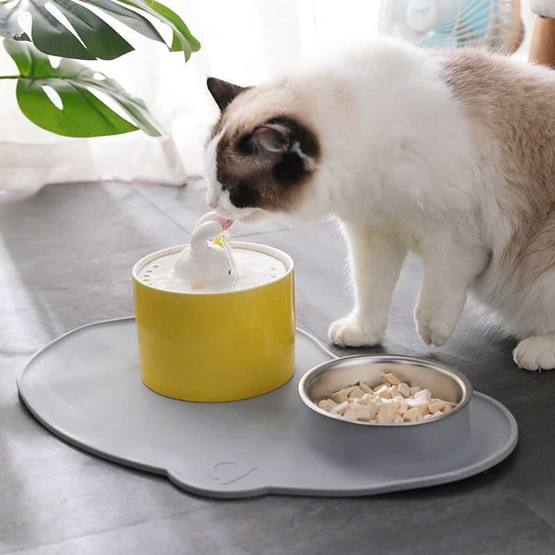 Pet Waterer Dog Water Basin