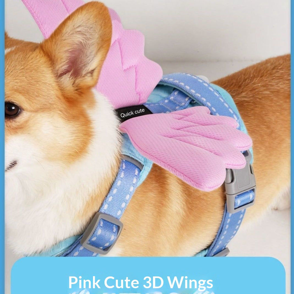 3D Wings Dog Harness With Leash Option