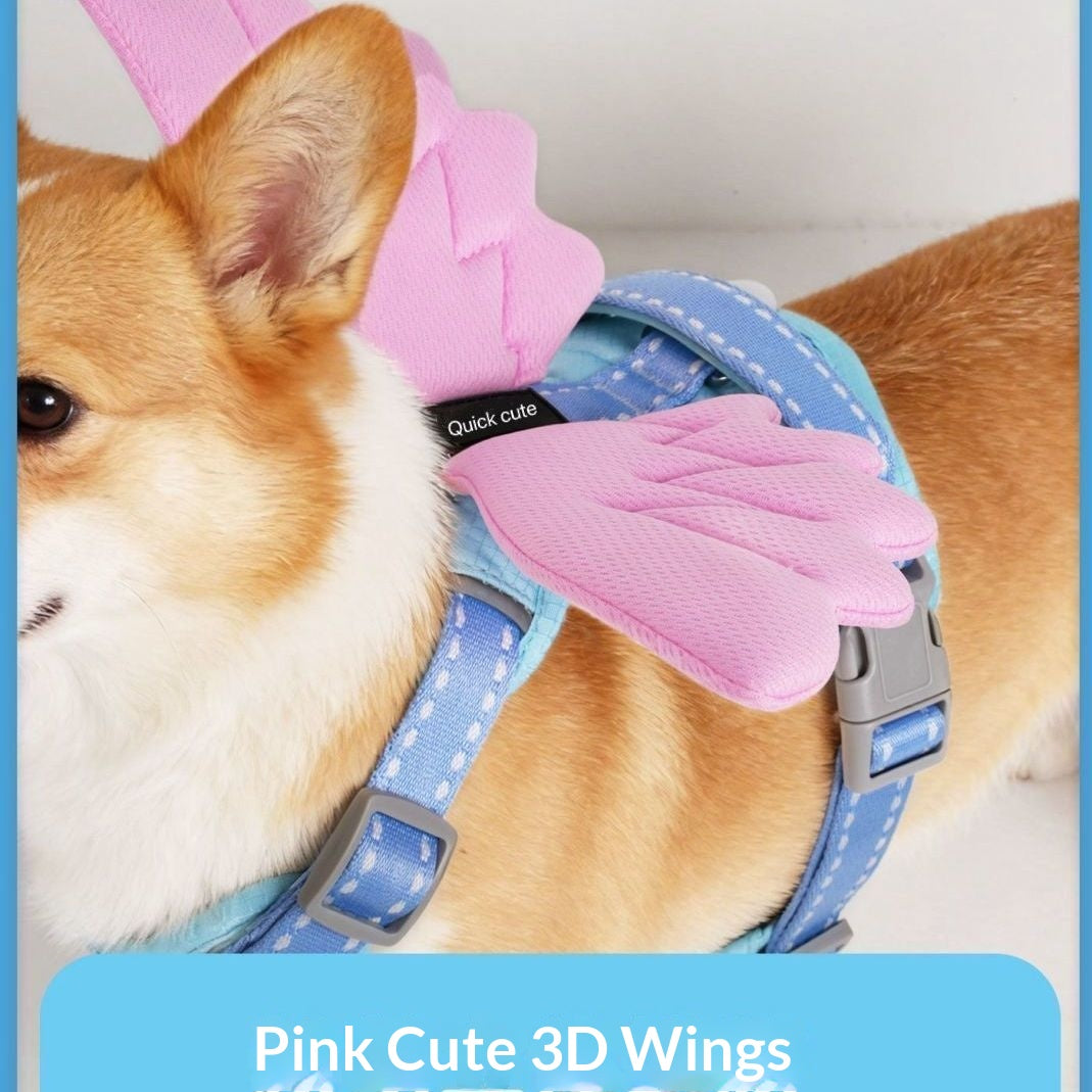 Universal Dog Harness With 3D Wings And Leash