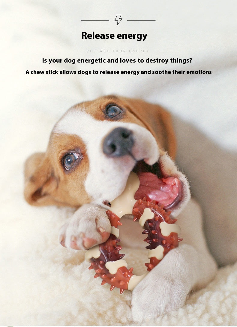 Dog Pet Molar Toy Bite-Resistant Bone